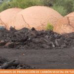 SE REUBICARON HORNOS DE PRODUCCIÓN DE CARBÓN VEGETAL EN “LOS CHIRIGUANOS”