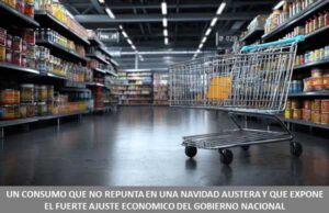 UN CONSUMO QUE NO REPUNTA EN UNA NAVIDAD AUSTERA Y QUE EXPONE EL FUERTE AJUSTE ECONOMICO DEL GOBIERNO NACIONAL