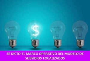 SE DICTO EL MARCO OPERATIVO DEL MODELO DE SUBSIDIOS FOCALIZADOS