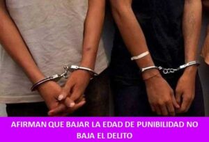 AFIRMAN QUE BAJAR LA EDAD DE PUNIBILIDAD NO BAJA EL DELITO