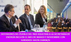 DEFENSORES DEL PUEBLO DEL PAIS SOLICITAN A LA SECRETARIA DE ENERGÍA INCLUYA EL MES DE MARZO Y NOVIEMBRE CON SUBSIDIOS HASTA 550KW/H   