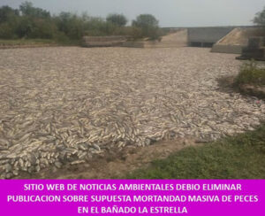 SITIO WEB DE NOTICIAS AMBIENTALES DEBIO ELIMINAR PUBLICACION SOBRE SUPUESTA MORTANDAD MASIVA DE PECES EN EL BAÑADO LA ESTRELLA