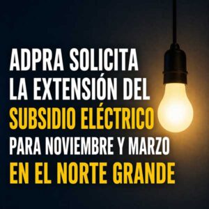 DEFENSORES DEL PUEBLO SOLICITAN LA EXTENSIÓN DEL SUBSIDIO ELÉCTRICO PARA LOS MESES DE NOVIEMBRE Y MARZO EN LAS PROVINCIAS DEL NORTE GRANDE