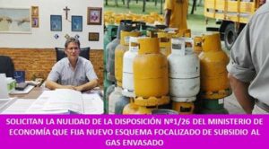 SOLICITAN LA NULIDAD DE LA DISPOSICIÓN Nº1/26 DEL MINISTERIO DE ECONOMÍA QUE FIJA NUEVO ESQUEMA FOCALIZADO DE SUBSIDIO AL GAS ENVASADO