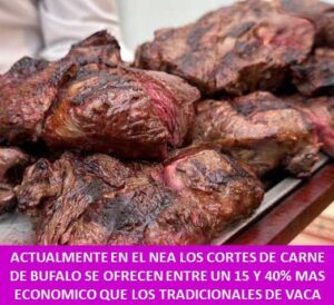 ACTUALMENTE EN EL NEA LOS CORTES DE CARNE DE BUFALO SE OFRECEN ENTRE UN 15 Y 40% MAS ECONOMICO QUE LOS TRADICIONALES DE VACA