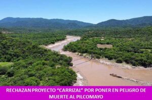 AFIRMAN QUE ES NECESARIA LA PARTICIPACION DE LA ORGANIZACIÓN DEL TRATADO DE LA CUENCA DEL PLATA Y DE LA COMISIÓN TRINACIONAL DEL PILCOMAYO EN EL PROYECTO HIDROELECTRICO EL CARRIZAL