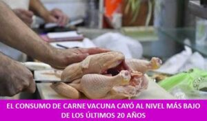 EL CONSUMO DE CARNE VACUNA CAYÓ AL NIVEL MÁS BAJO DE LOS ÚLTIMOS 20 AÑOS