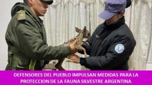 DEFENSORES DEL PUEBLO IMPULSAN MEDIDAS PARA LA PROTECCION DE LA FAUNA SILVESTRE ARGENTINA