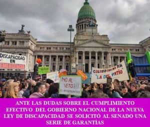 ANTE LAS DUDAS SOBRE EL CUMPLIMIENTO EFECTIVO DEL GOBIERNO NACIONAL DE LA NUEVA LEY DE DISCAPACIDAD SE SOLICITÓ AL SENADO UNA SERIE DE GARANTÍAS