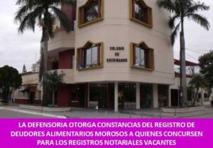 LA DEFENSORIA OTORGA CONSTANCIAS DEL REGISTRO DE DEUDORES ALIMENTARIOS MOROSOS A QUIENES CONCURSEN PARA LOS REGISTROS NOTARIALES VACANTES